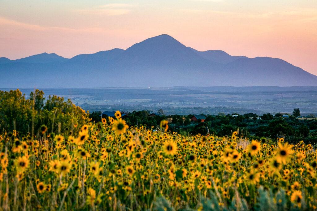 READING COLORADO REGINA LOPEZ-WHITESKUNK PETER ANDERSON UTE MOUNTAIN UTE TOWAOC FOUR CORNERS